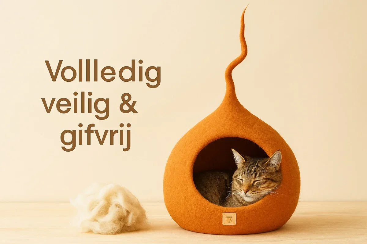 20251119_2135_Veilige_Kattenmand_Minimalistisch_remix_01kaex5bk6fzm8b38cpjzy66xe - WoolNest