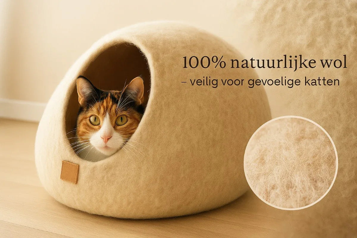 20251119_2147_WolNest_Kattenhol_simple_compose_01kaextvdqfzcs77qbzd0gdzw1 - WoolNest