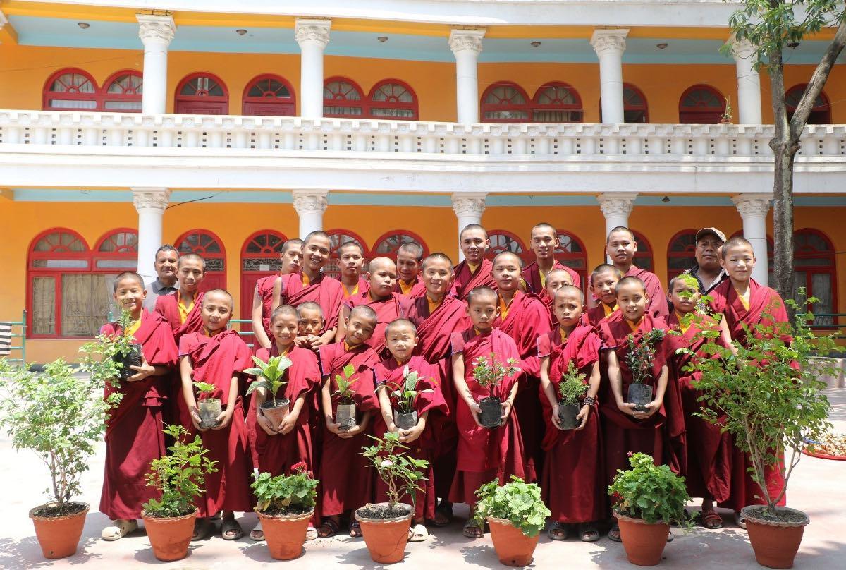 447674747_981002550699889_6695507028890915260_n_1_cd592942-56cb-4fa4-9a71-f285b77a4919 - WoolNest