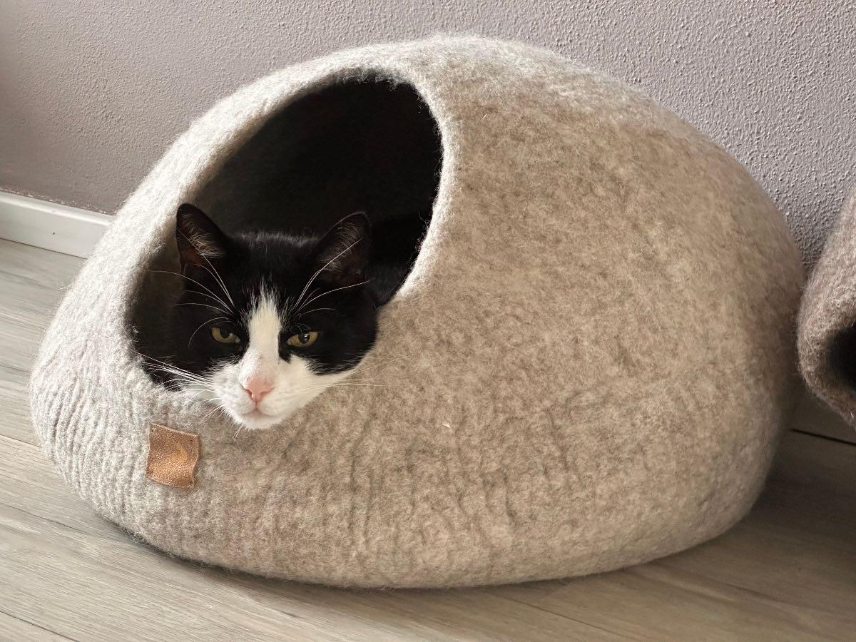 IMG_5306_2e73d63a-3f38-434d-981c-cbbfcf595e83 - WoolNest