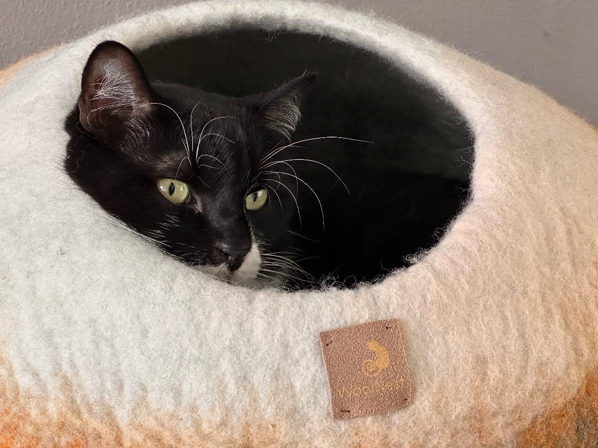 IMG_5391_a713d171-a07c-44e6-8eaf-aacc19004ac4 - WoolNest