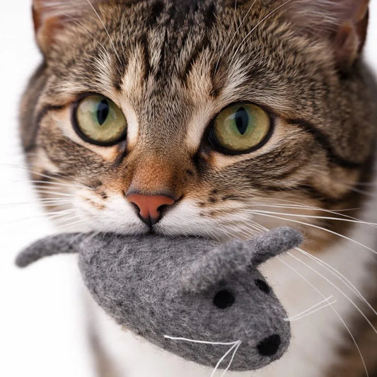 woolnest-wollen-muisje-7503906 - WoolNest